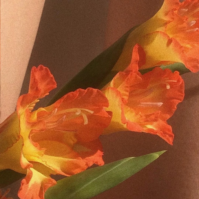 仙气#晚霞#头像