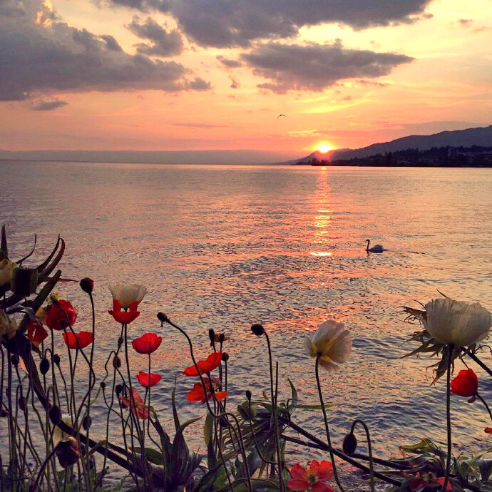 仙气#晚霞#头像