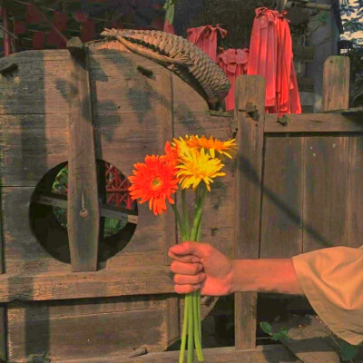 仙气#晚霞#头像