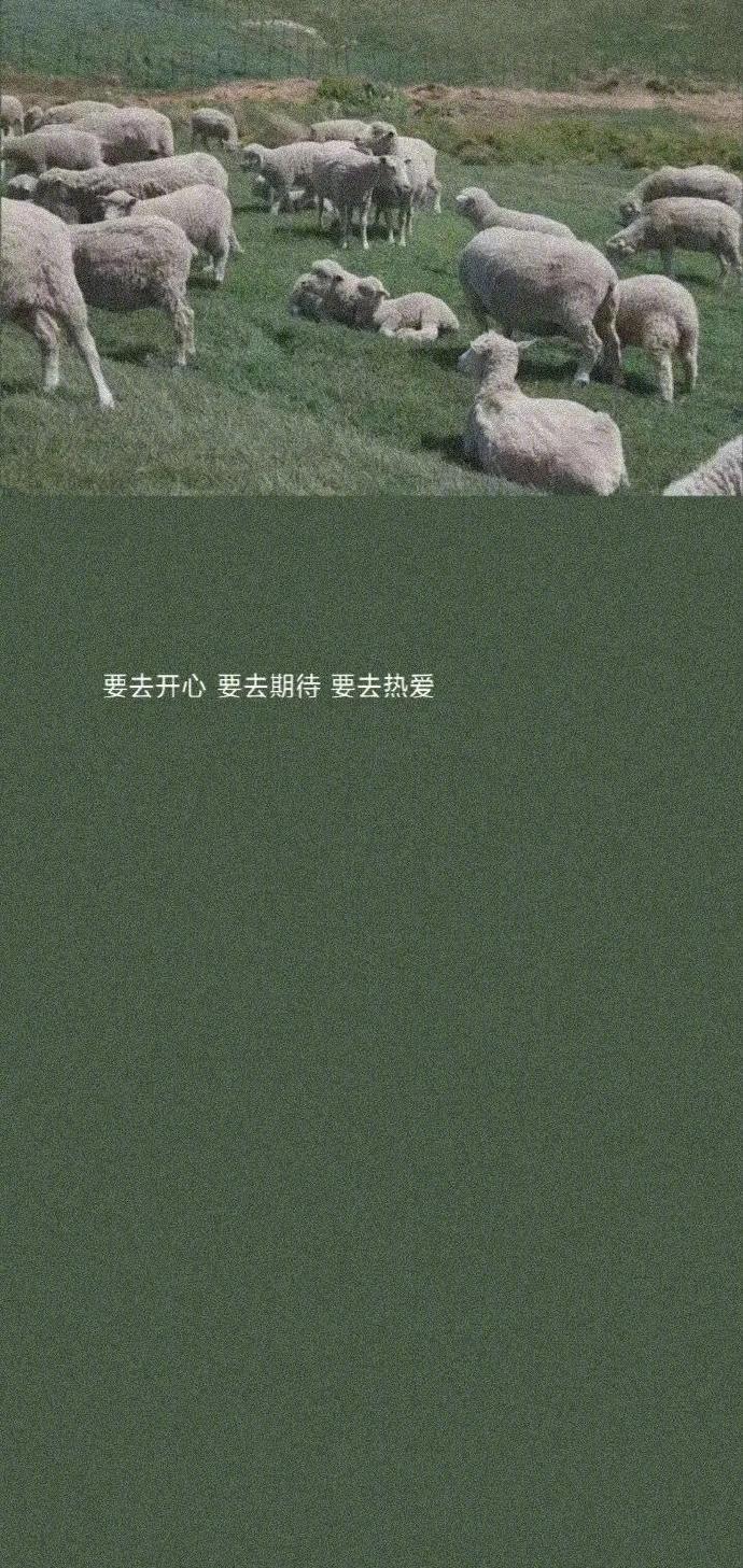 文字壁纸