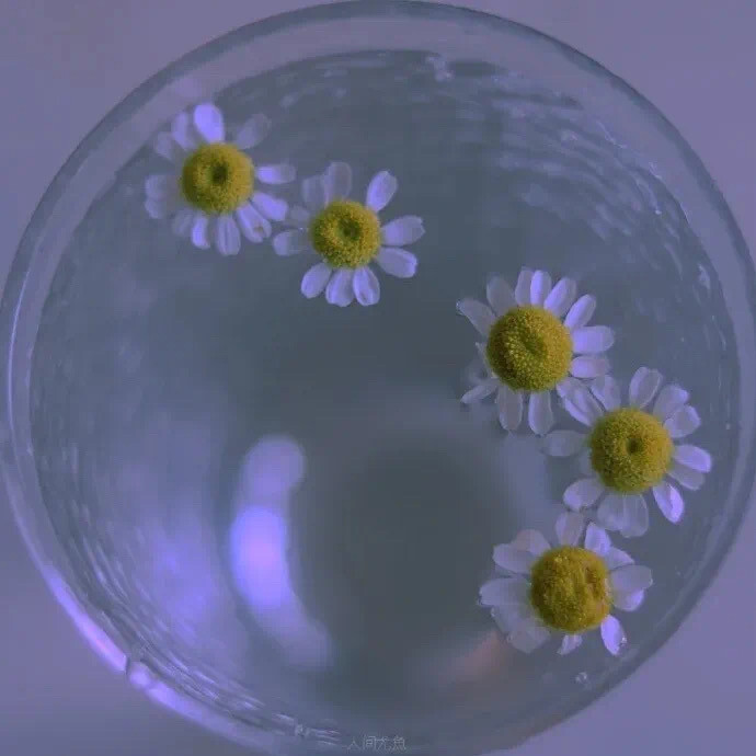 很抱歉，终究没能成为你的例外