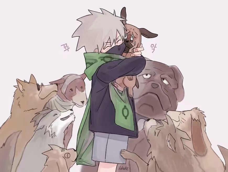 旗木卡卡西 侵删