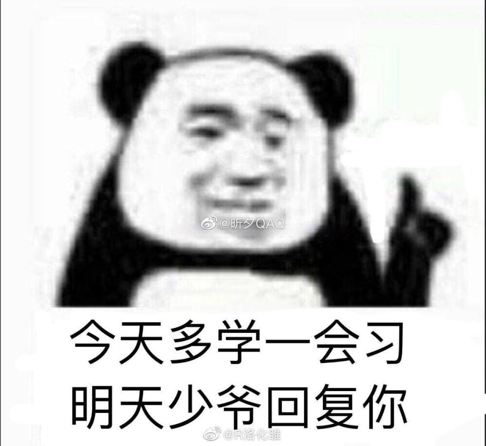 洛少爷