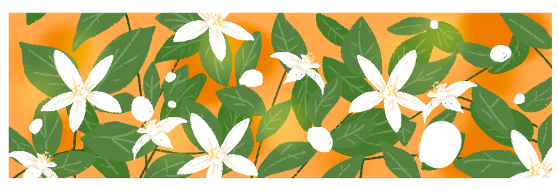 粗糙的自抠图
图源网络侵删致歉
本意只为解放手机内存