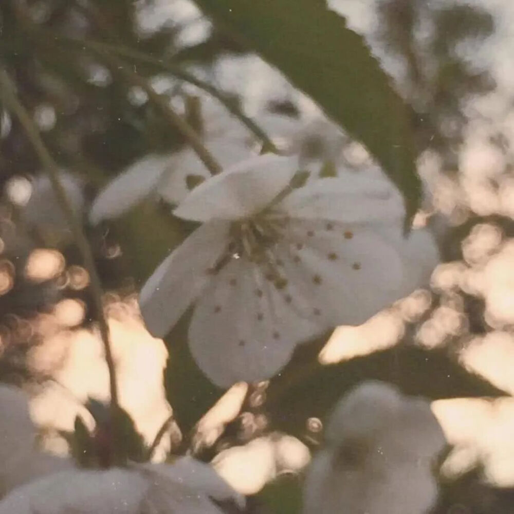 大人物就是一直不断努力的小人物
/背景图