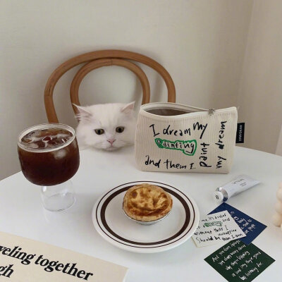 治愈 可爱 小动物 猫