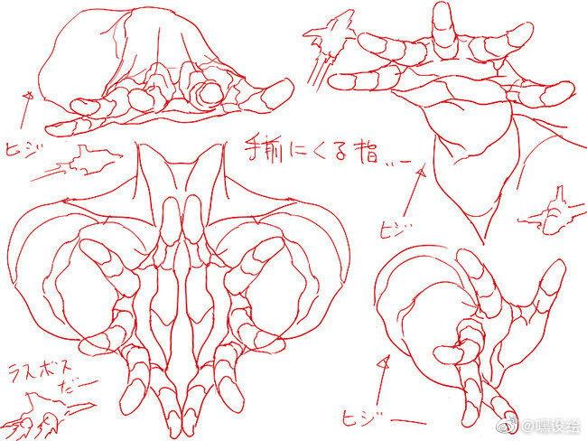 手部教程