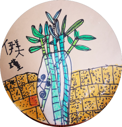 获奖的画