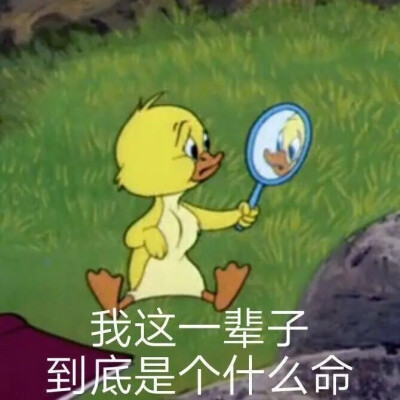 你不睡 我不睡 我们之间才有机会