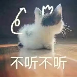 猫猫及其表情包