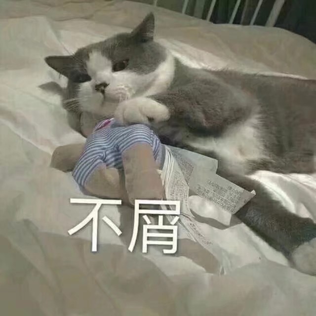 猫的表情包