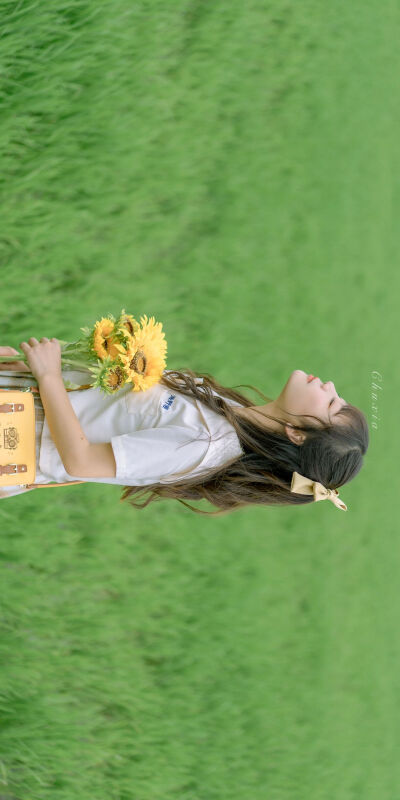 横屏小清新全屏壁纸
电脑壁纸