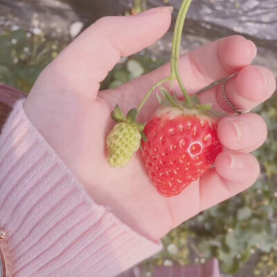 春天有梅子味的晚霞
和两三颗啤酒味的星
以及一勺浓郁的风
冲开少女草莓味的心事