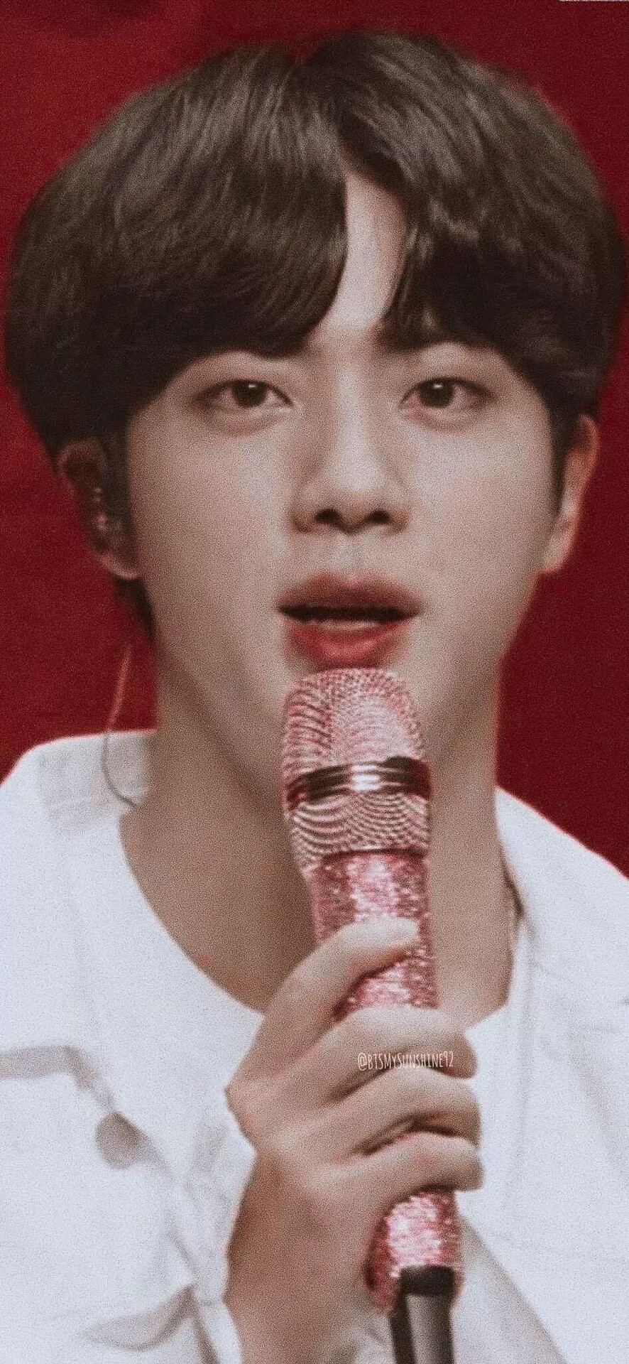 Jin 김석진 金硕珍