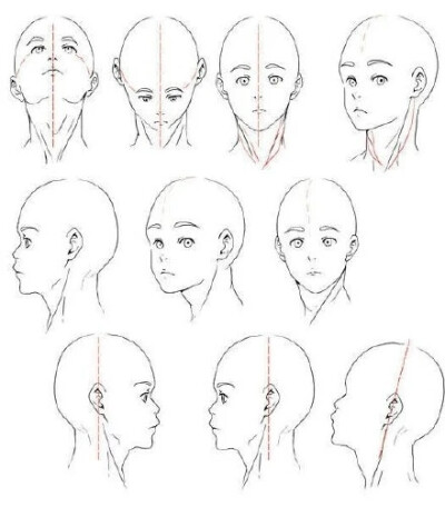 动漫头部教程