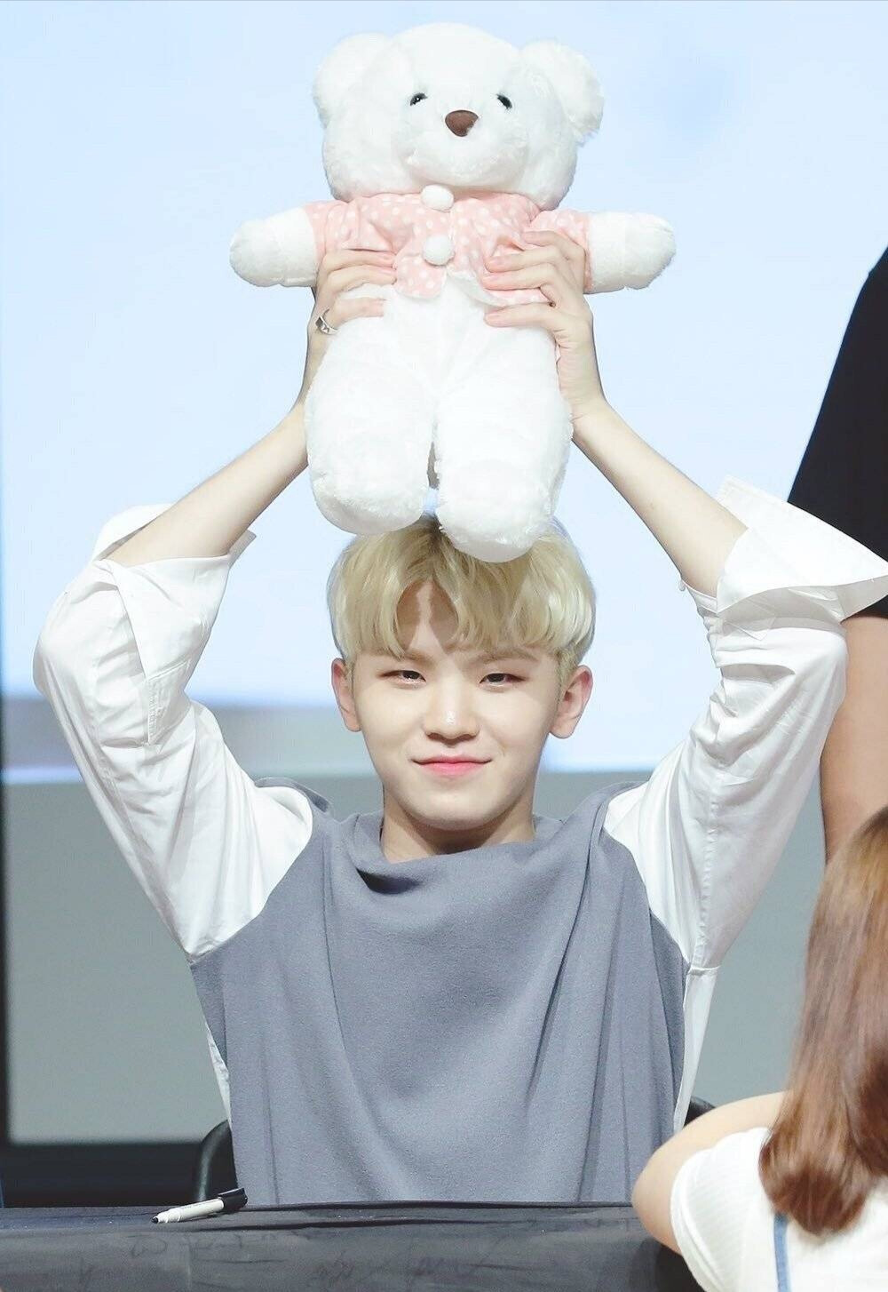 SEVENTEEN 李知勋 woozi 呜叽