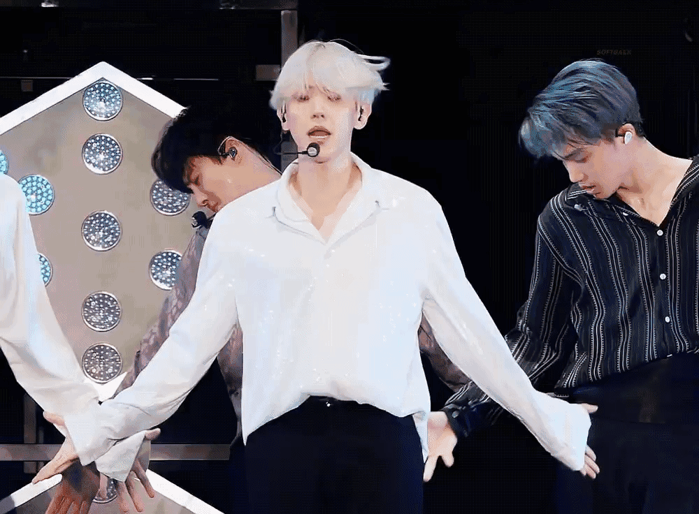 边伯贤
白月光系列