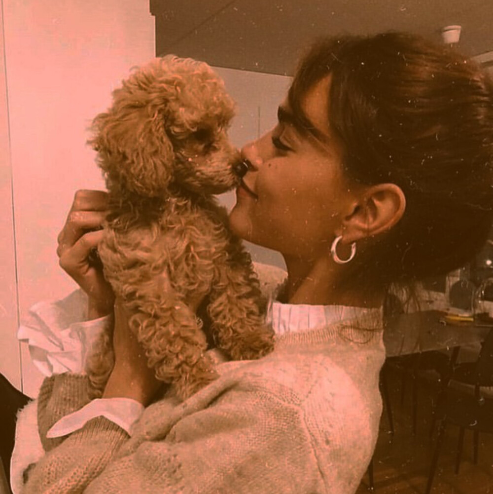 不换头像会死星人