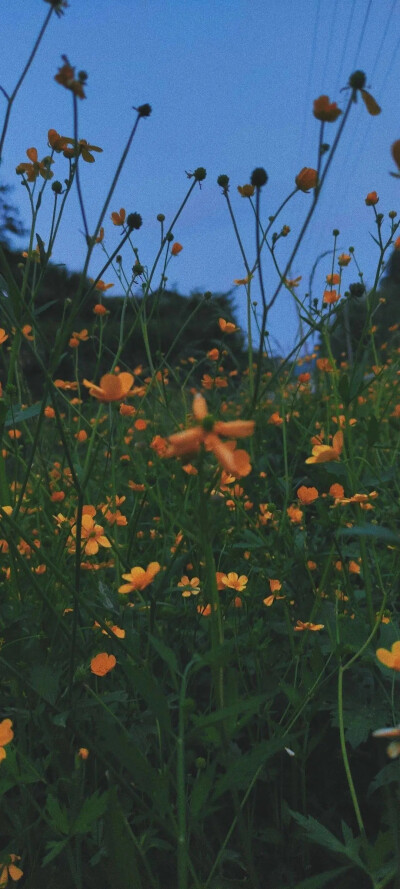 ♡壁纸大图
面朝大海，春暖花开