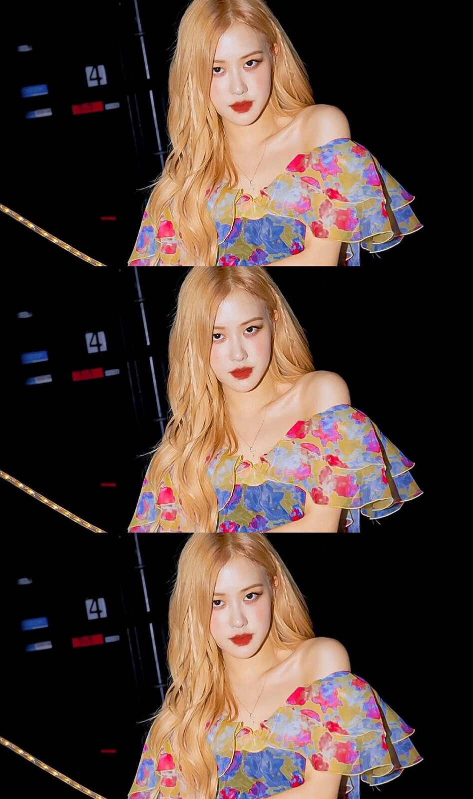 荆棘丛中野蛮生长的玫瑰