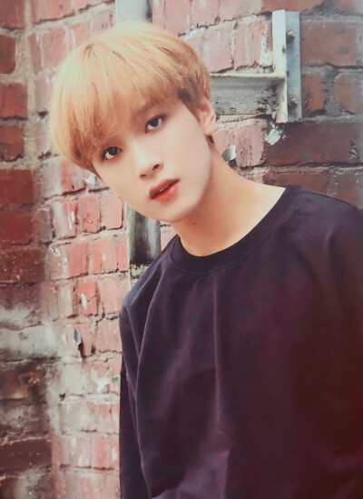 NCT 楷灿
