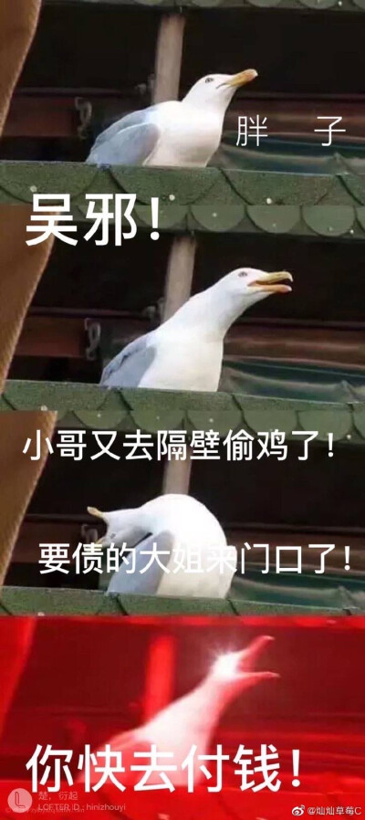 重启之极海听雷