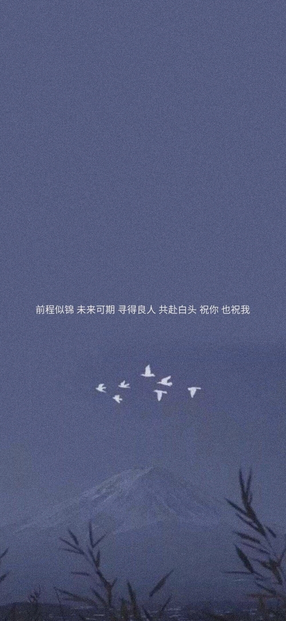 ins风壁纸 文字壁纸