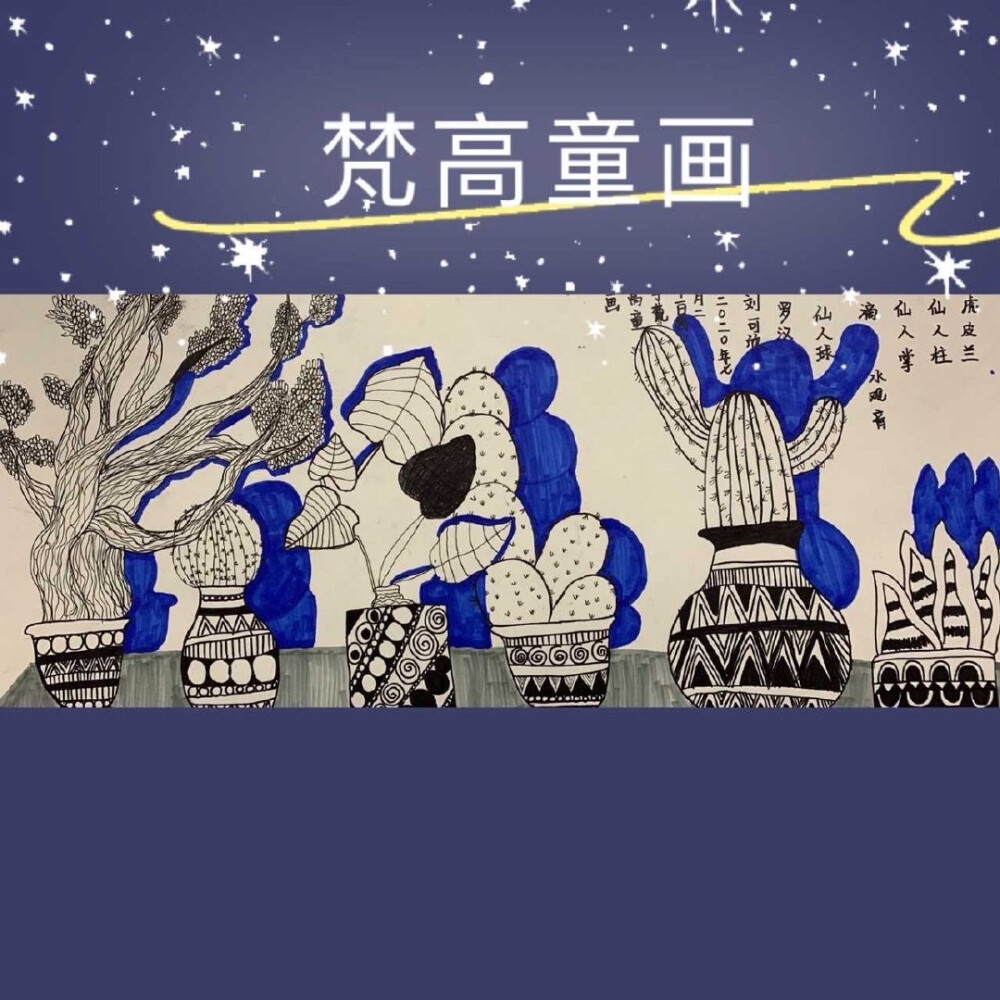 写生线描——仙人掌