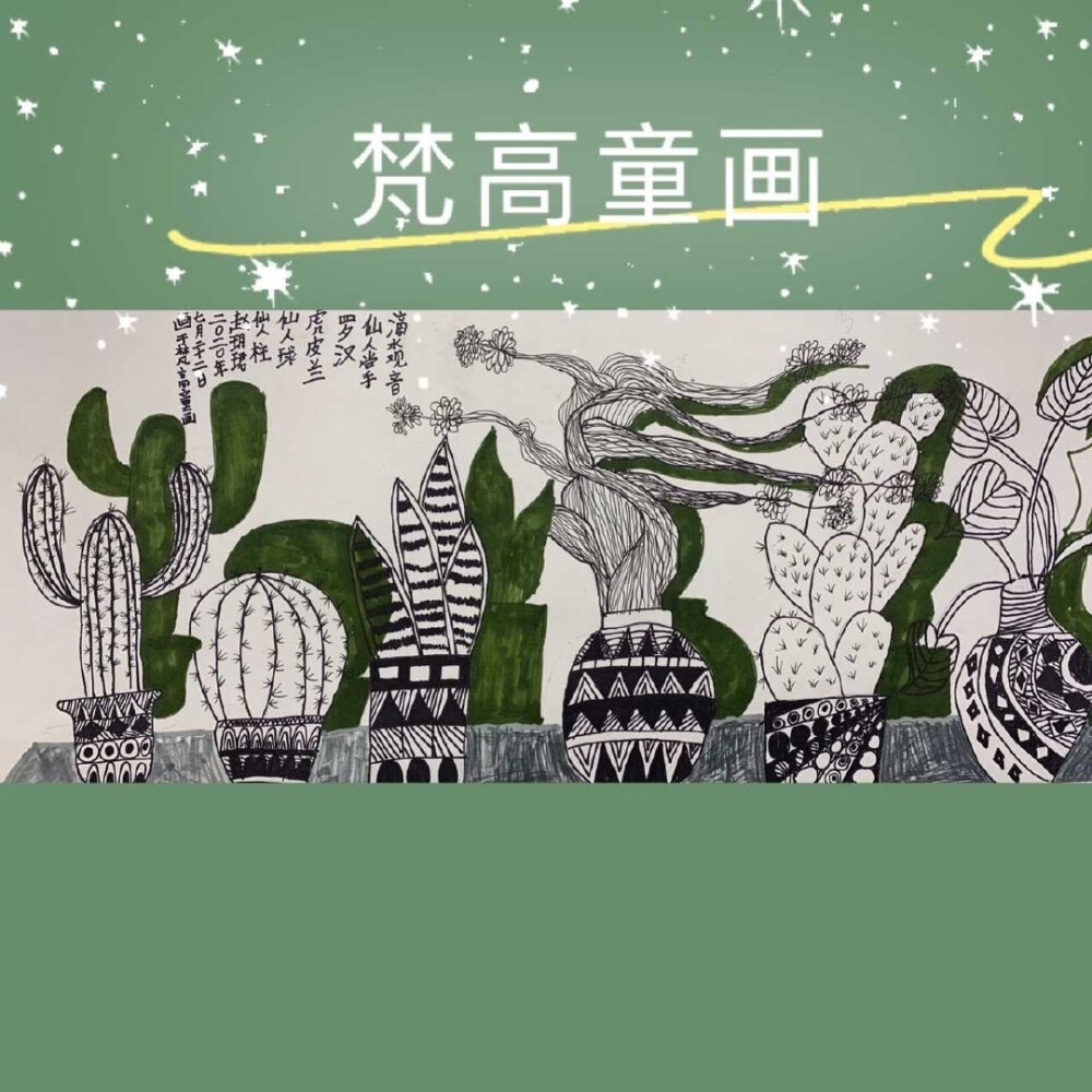 写生线描——仙人掌