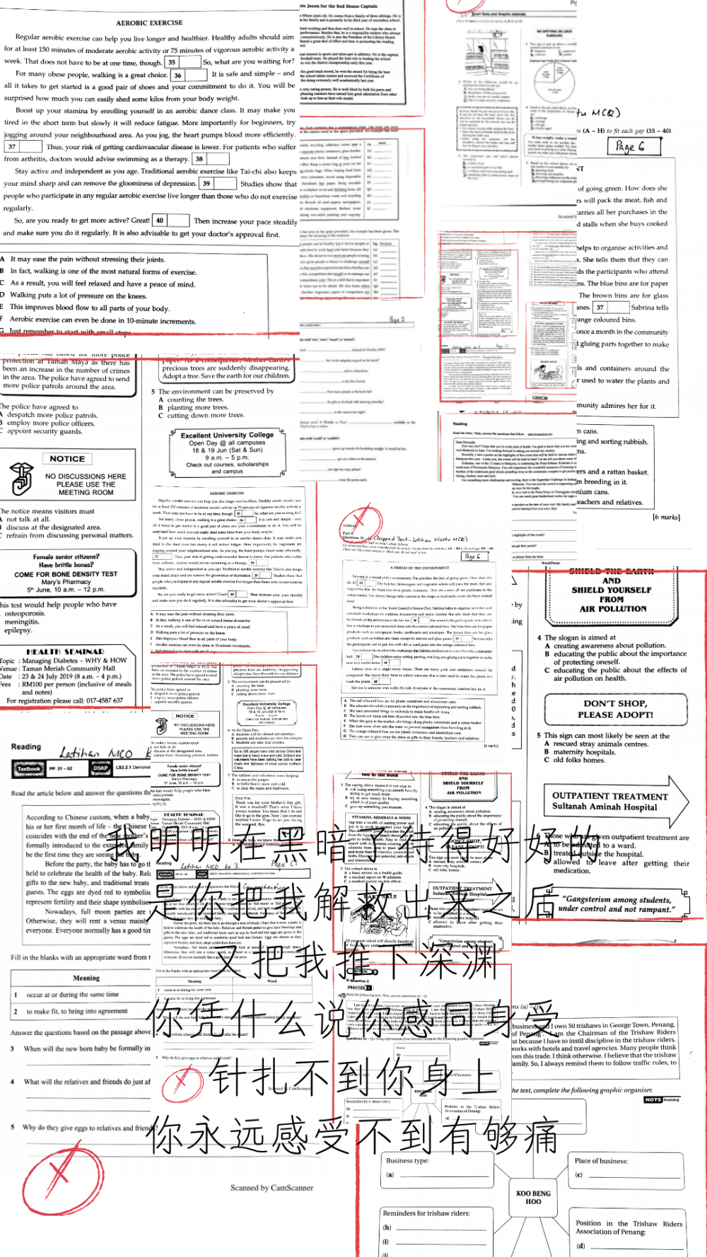 文案---[华文]
背景---[我的英文假期功课]