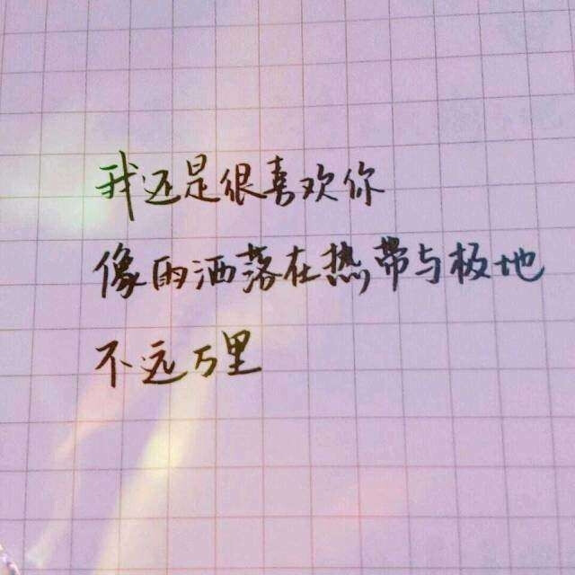 背景图 我还是喜欢你