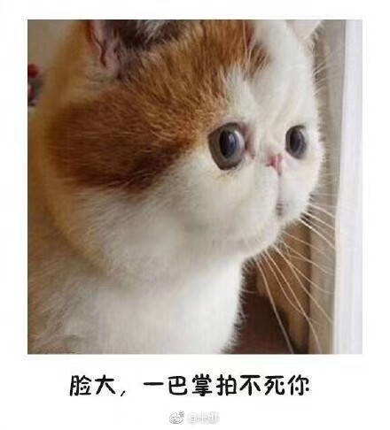 呆萌