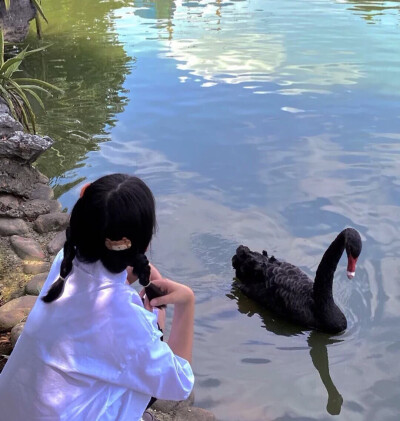 女头
二传注明.