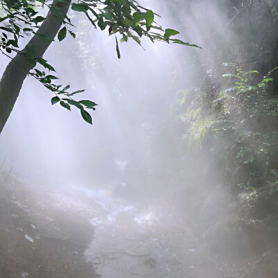 水雾 蓝天 给你一个20度的夏天