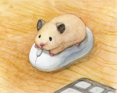 插画 绘画 仓鼠 可爱 彩铅