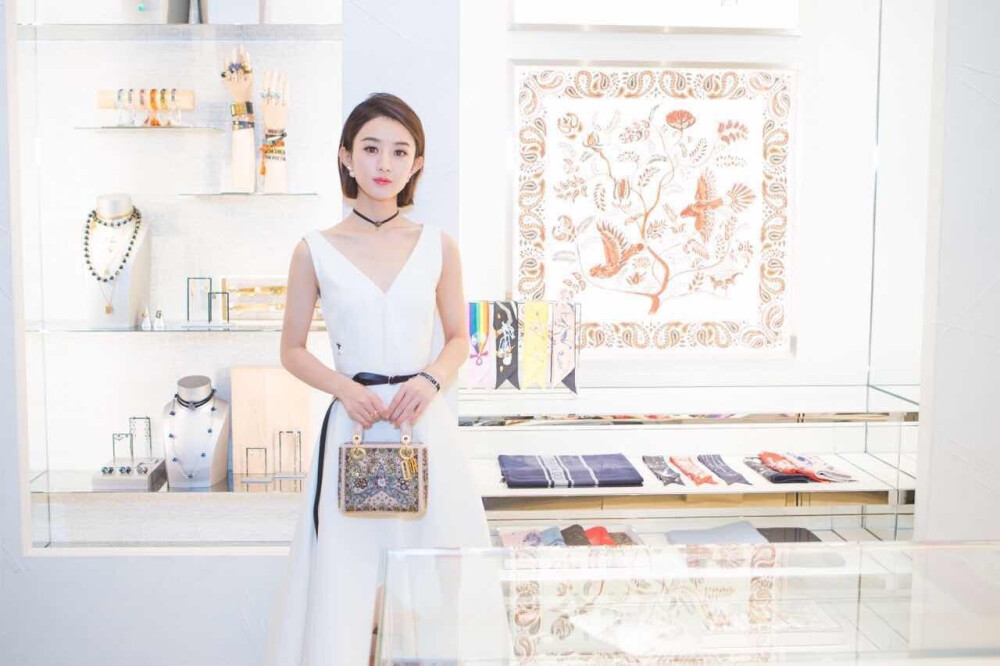 赵丽颖 拿图看简介