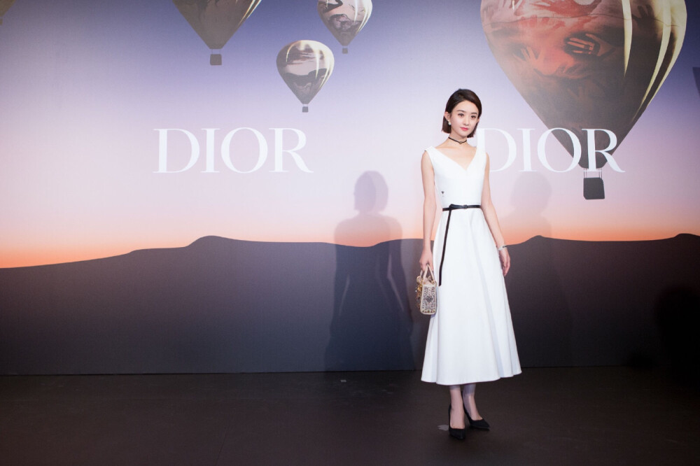 赵丽颖 拿图看简介