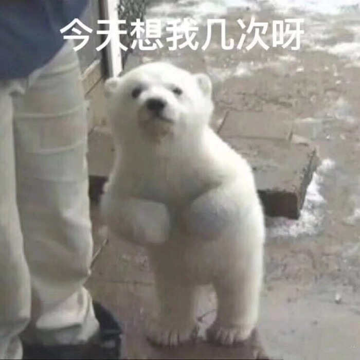 可爱