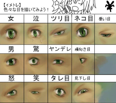 眼睛素材