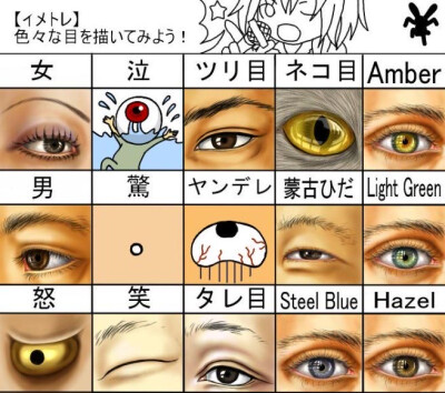眼睛素材
