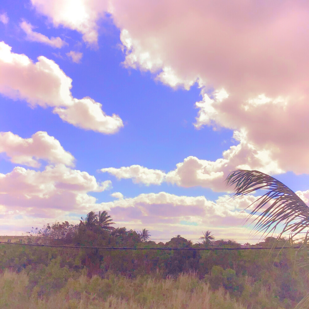 甜甜的棉花糖天空诶