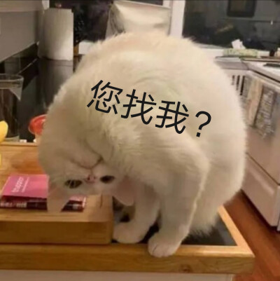 即兴发挥加了字