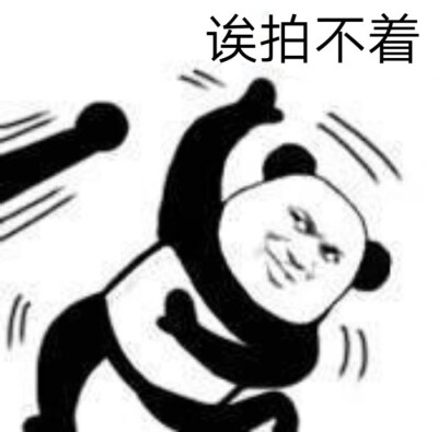 拍一拍