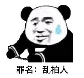 拍一拍