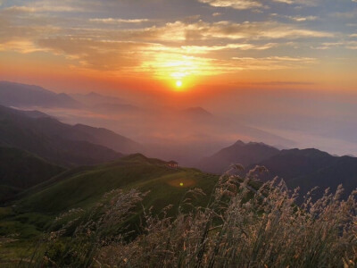 ♡ 今日背景图分享啦
♡ 收集不易拿图点赞