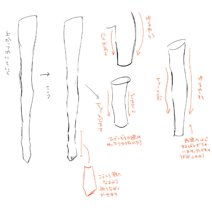 肢体骨架结构