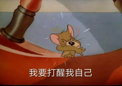 来辽来辽，猫和老鼠第二弹