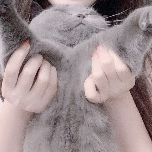 二传注明堆糖 收 不注明别传