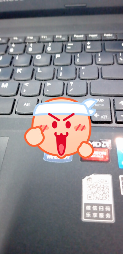 vho，v后面是什么字母