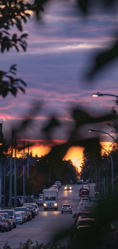 紫色系列壁纸
：）